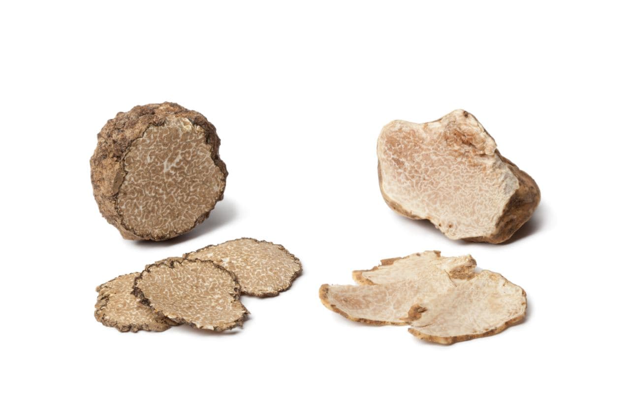 Winter White Truffle “Tuber magnatum”