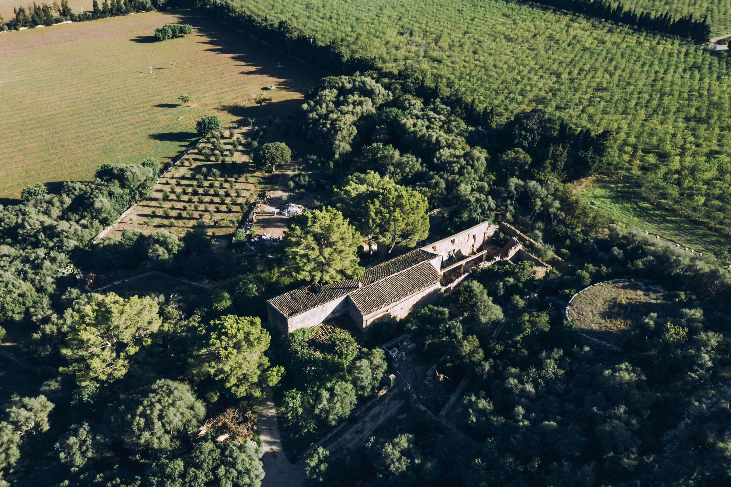 Truffle Farm of Trufamo Mallorca