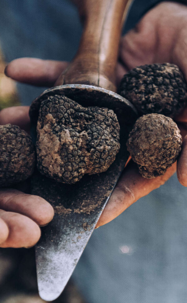 Hand selected black Truffle